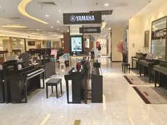 -知音艺术教育培训·钢琴培训·音乐培训(河西金鹰世界校区)