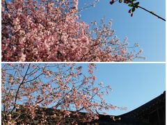 -莫愁湖公园