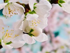 -红星美凯龙(东北全球家居1号店)