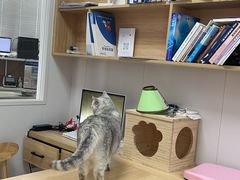 -邢大夫动物医院