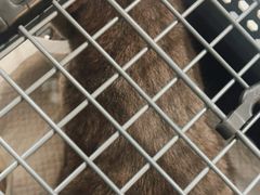 -美联众合动物医院·24h京西诊疗中心
