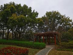 -徐家汇源景区-衡山公园