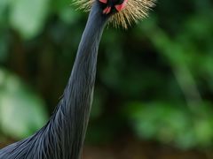 -Sony Store索尼(广州正佳店)