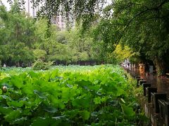 -四川大学(华西校区)