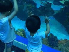 -成都浩海立方海洋公园