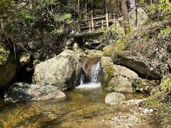 -王顺山国家森林公园