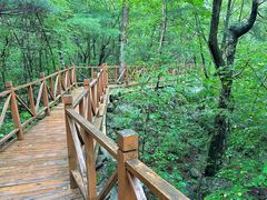 -青峰峡国家森林公园