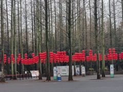 -东平国家森林公园