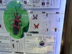 -上海大自然野生昆虫馆(东方明珠·爬宠昆虫探索中心)
