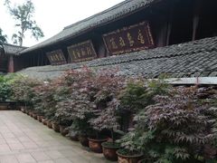 -峨眉山报国寺