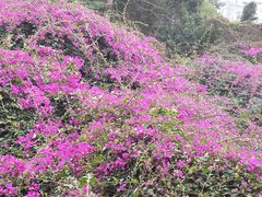 -鸿山公园