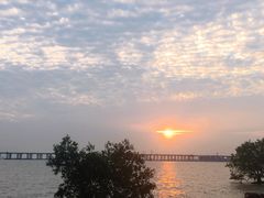 -宝安西湾红树林湿地公园