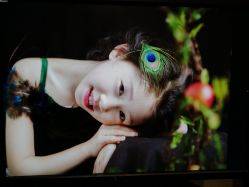 点击看大图 -YUEYAR PHOTO摄影