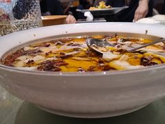 -宏宴·新京菜(望京店)