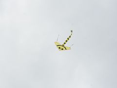 -赏点粤式点心(广州塔店)