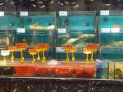 -潮粤香海鲜酒楼(沙湖店)