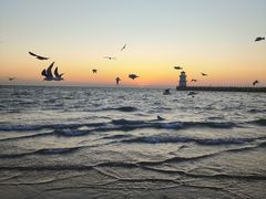 -南戴河旅游度假区