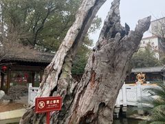 -绳金塔