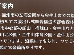 -福道