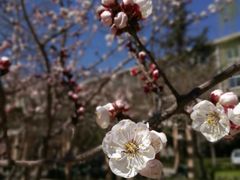 -山西医科大学(迎泽校区)