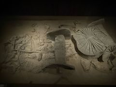 -北京大葆台遗址博物馆