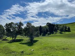 -新疆那拉提国家旅游度假区