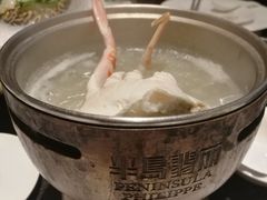 -半岛翡丽海鲜自助餐厅(观风亭店)