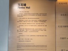 -云溪植物园