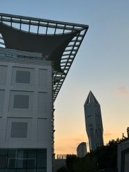 -上海明天广场JW万豪酒店·宴会厅