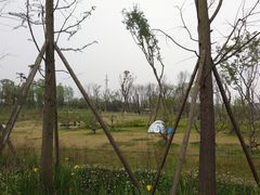 -白鹭湾湿地公园