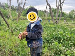 -白鹭湾湿地公园