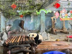 -海南热带野生动植物园