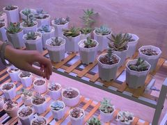 -富力希尔顿酒店·地阔自助餐厅