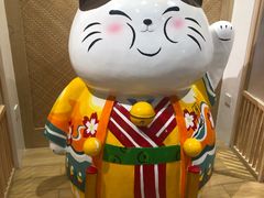 -屋虎猫馆(宝安大仟里店)