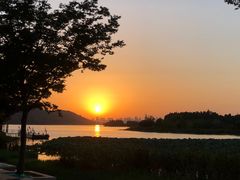 -东湖落雁景区