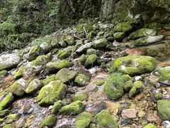 -牛背梁国家森林公园