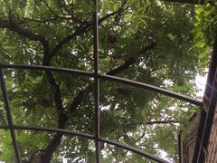 -zarah(鼓楼店)