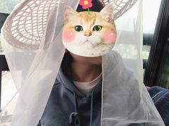 -上席擂茶·新中式青年茶馆(古城店)
