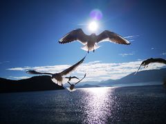 -泸沽湖里格半岛