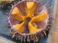 -海胆小馆(东北水饺·春柳店)