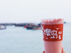 -南澳岛打卡果汁冰公司