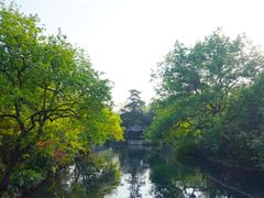 -西湖外事游船(花港观鱼码头)