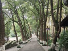 -忠山公园