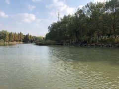 -九里河湿地公园