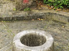 -上海佘山国家森林公园天马山园