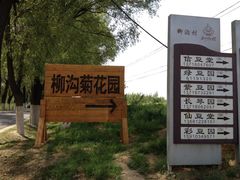 -柳沟豆腐宴义豆堂24号农家院