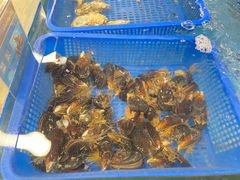 -宝燕海货工场(长江国际店)