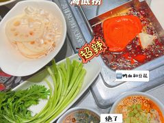蓬蒿菜-海底捞火锅(海宁路店)