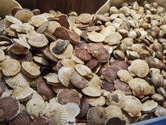 -九寸花汀(摩天活力城店)