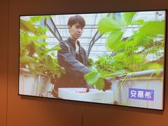 -华夏良子·足道SPA艾灸(翠微店)